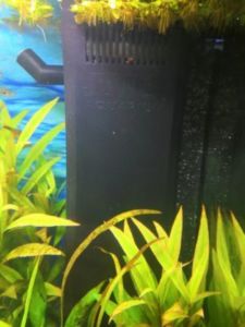 Porte-filtre magnétique pour aquariums